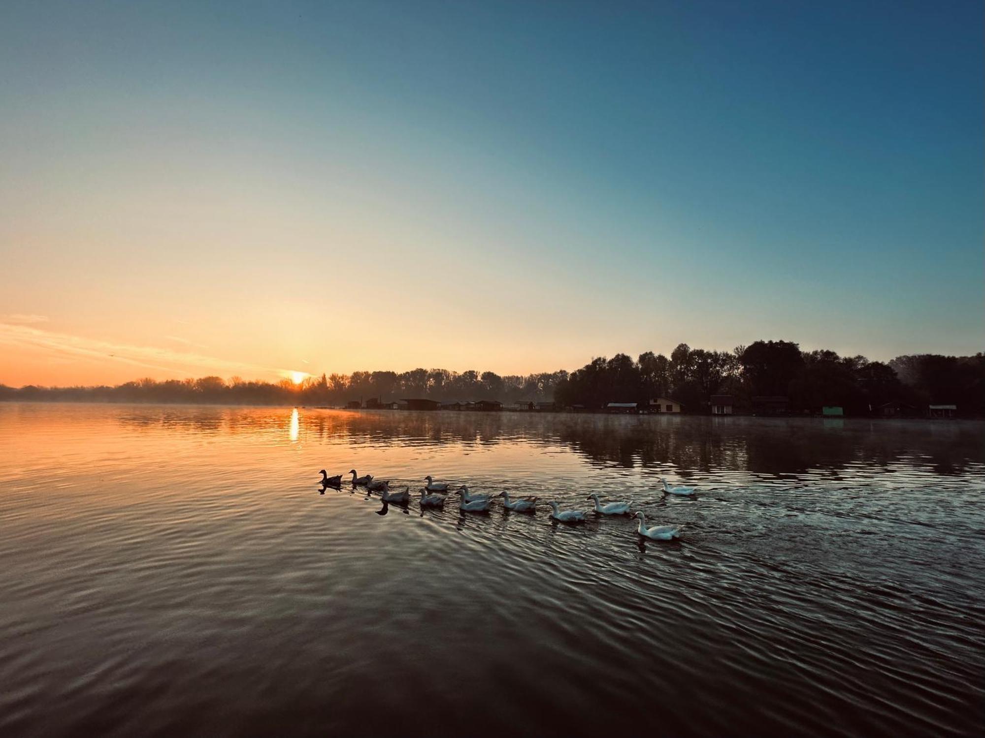 Swan Hotel Beograd Ngoại thất bức ảnh