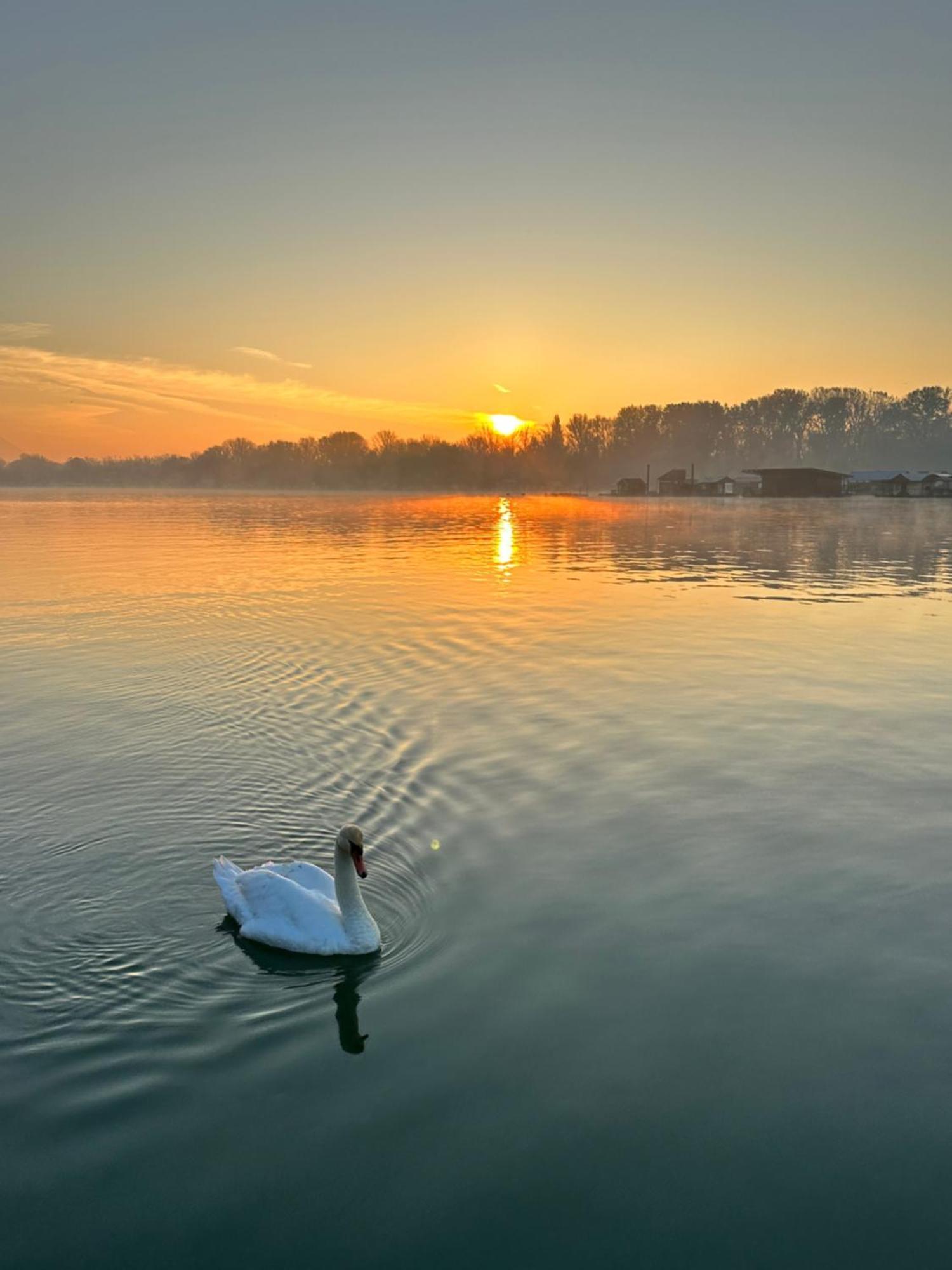 Swan Hotel Beograd Ngoại thất bức ảnh